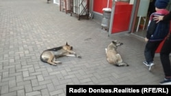 В центре города