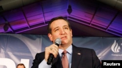 Сенатор Тед Круз