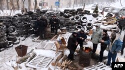 Protestatari în Liov, 25 ian.