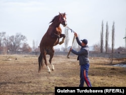Учаарына ишенген Либидер.