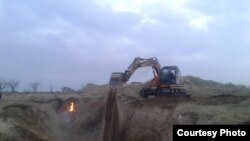 Скелеты и туши ослов, обнаруженные в Самаркандском районе, сожгли и закопали в яме глубиной 4 метра.