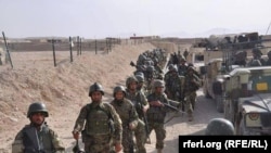 افغان ملي اردو.