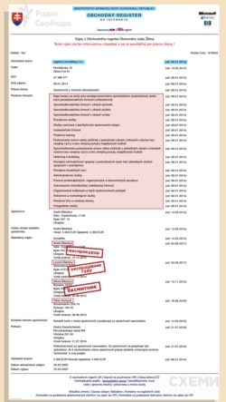 Відповідно до словацького реєстру, засновниками компанії Sapient Consulting є члени родини Білецьких: екпрокурор, ексмитник і експрацівник суду