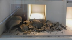 U Arheološkom muzeju najviše je stradao stalni postav