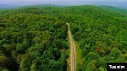 نمایی از جنگل‌های هیرکانی در ایران که در فهرست یونسکو قرار گرفته‌اند