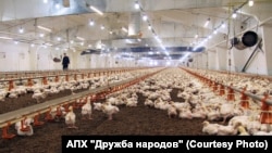 Виробничі потужності підприємства «Дружба народів», архівне фото