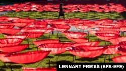 3200 гигантских алых маков - инсталляция, установленная в центре Берлина в память о жертвах Первой мировой войны, 5 ноября 2018 года.