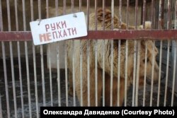 Ведмідь на фермі у Самборі