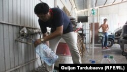 Желим бөтөлкөлөргө суу толтуруп аткандар. Бишкектин четиндеги Пригородное айылында да жайында суу чоң көйгөйгө айланат.