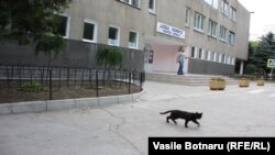 La deschiderea secțiilor de votare din Chișinău