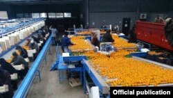 მანდარინის გადამამუშავებელი საწარმო