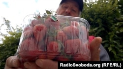 Житель Криму каже, що полуниця на ринку коштує дорого