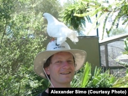 Олександр Сімо