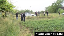 Баҳс се моҳ боз идома дорад.