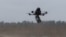 Atât în Ucraina cât și în Rusia, militarii au doborât noaptea trecută zeci de drone de atac.