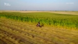 Електробайк з рекордним запасом ходу запускає в масове виробництво українська компанія (відео)