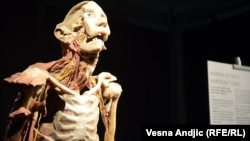 Izložba "Razotkrivanje tela" u Beogradu