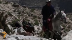 Кытай: Кыргыздар жайытынан ажырады