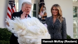 День подяки у США: як Дональд Трамп благословив індичку (фотогалерея)