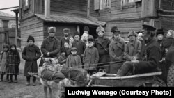 Farkasok húzzák a szekeret Krasznojarszkban 1904-ben.