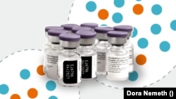 Hogyan határozzák meg a vakcinák hatásosságát?