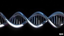 ДНК важнее человека