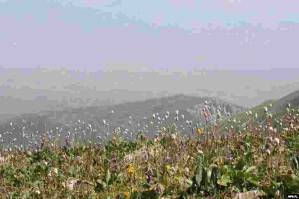 Саймалуу-Таш или расшитые камни Тянь-Шаня #15