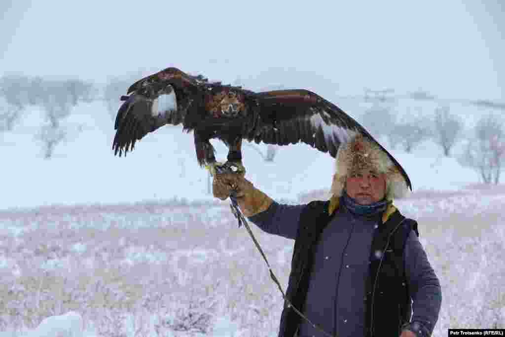 В турнире участвовали беркутчи из десяти регионов Казахстана. Из-за пандемии в условия соревнований были внесены ограничения: от каждой области разрешалось привезти по два беркута, по одному соколу и одному орлу. Победителем соревнований стал Арман Кушкаров из Атырауской области, но беркутчи из других регионов сумели подарить зрителям зрелищные выступления и атмосферу настоящих состязаний. На фото охотник с беркутом на руках готовится к соревнованиям.
