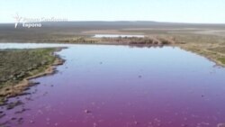 Загадување „во боја“