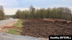 Татарстандагы токойдун жок кылынышы