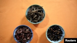 Ljudi širom većine svijeta - uključujući dijelove Afrike, Australije i Novog Zelanda - već uživaju u mesnim okruglicama od crva ili pljeskavicama od cvrčaka te drugoj hrani na bazi insekata.