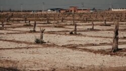 مستند «زمین سوخته»؛ اینجا خوزستان است، تشنه و عصبانی