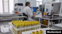 Иллюстрациялык сүрөт.