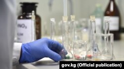 Коронавирусту аныктоо үчүн лабораториялык текшерүү учуру. 