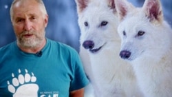 „ეს ძალიან დიდი მიღწევაა, ახალი სიტყვა ბიოლოგიის მეცნიერებაში. ფანტასტიკის დონეზე ჩატარდა ეს ექსპერიმენტი“, - ამბობს ზურაბ გურიელიძე, ბიოლოგიის მეცნიერებათა დოქტორი, პროფესორი. 