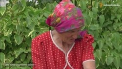 На орендованих землях Рівненщини впритул до будинків селян розпилюють хімікати?