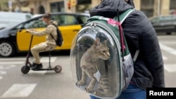 Vlasnica nosi mačku u ruksaku u Barseloni, april 2021. 