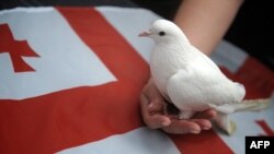 Ошибки политиков должны исправлять мы, говорит активист организации Шалва Циклаури