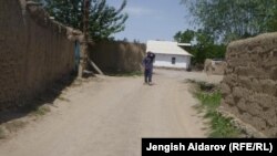 Кыргыз-тажик чек арасы.
