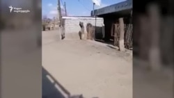 მაჰარამ გოიუშლუ სოფელ ქვემო ბოლნისში არსებულ ვითარებაზე