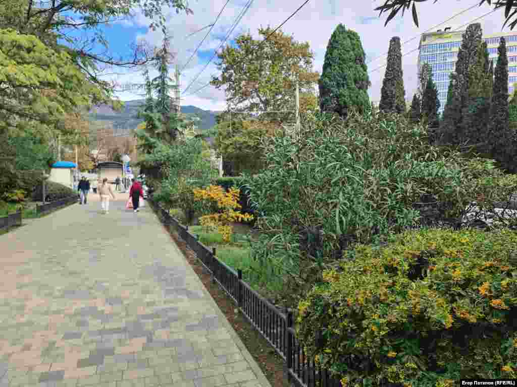 Субтропічна рослинність тішить око в Ялті