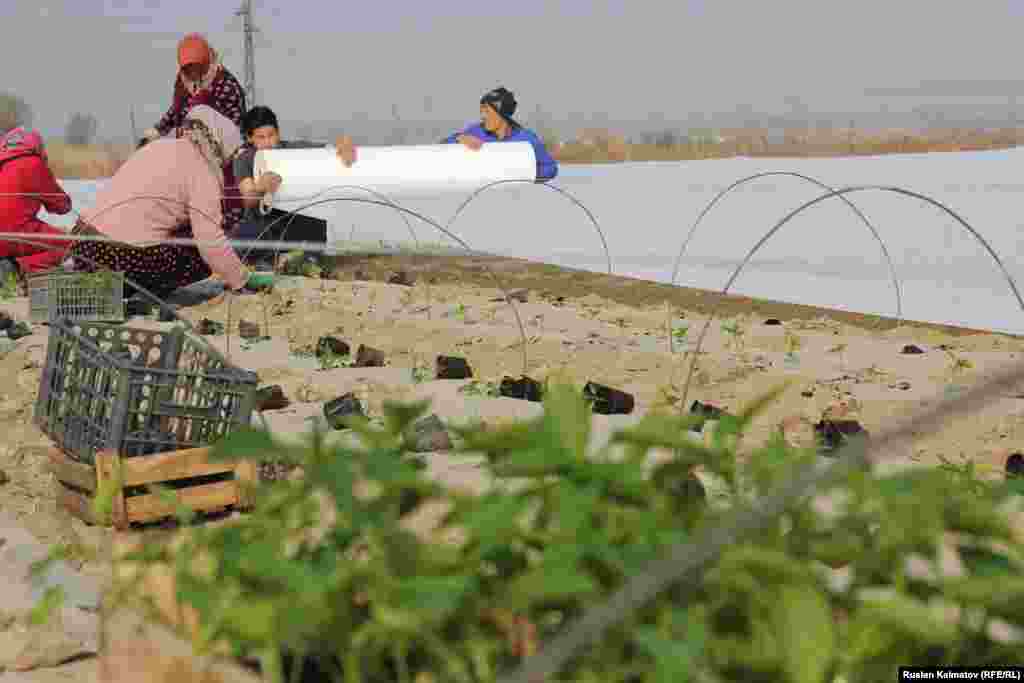 Эти три гектара земли принадлежат фермеру Алмазу Тороканову. Здесь будут выращиваться болгарский перец и помидоры. &nbsp;