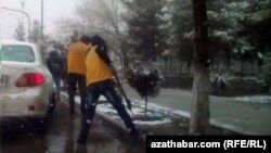 Illýustrasiýa suraty