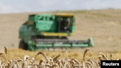 Иллюстративное фото.