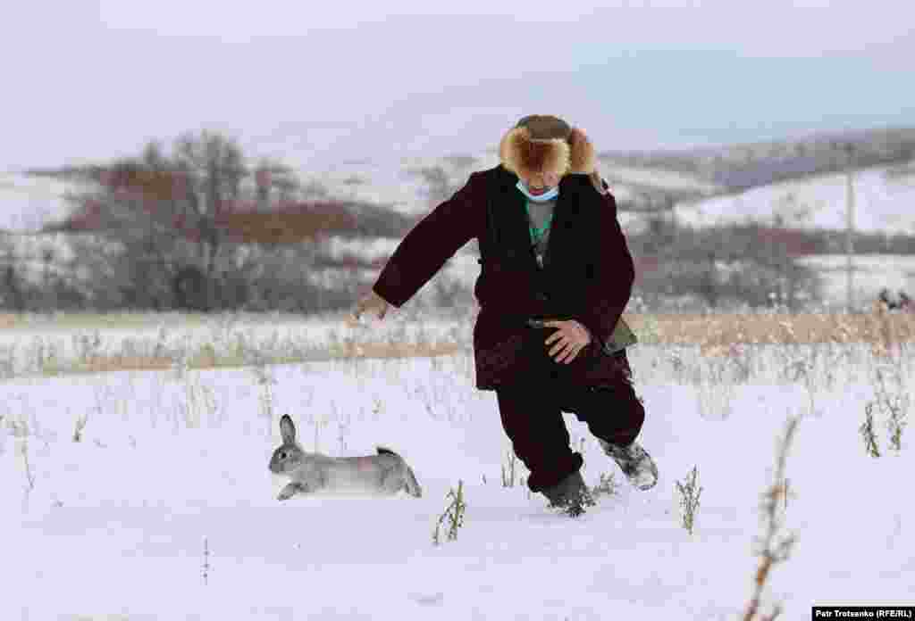 Если хищная птица не находит дичь самостоятельно, кролика приходится ловить участникам турнира, чтобы вернуть в клетку. Если же птице всё-таки удается поймать кролика, его, как правило, стараются спасти.