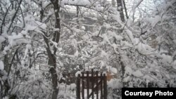 Акс аз Ҳафиз Қаландаров, блогнависи тоҷик