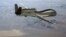  Американский стратегический разведывательный БПЛА RQ-4 Global Hawk