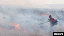 Një burrë përpiqet t'i shuajë zjarret pas sulmit raketor nga Libani në jug të Izraelit, 20 shtator 2024.