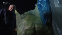 Pensionisti që ushqen zogjtë e Gërmisë