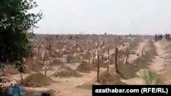 Кладбище в северной части на окраине Ашхабада, Июль, 2020 